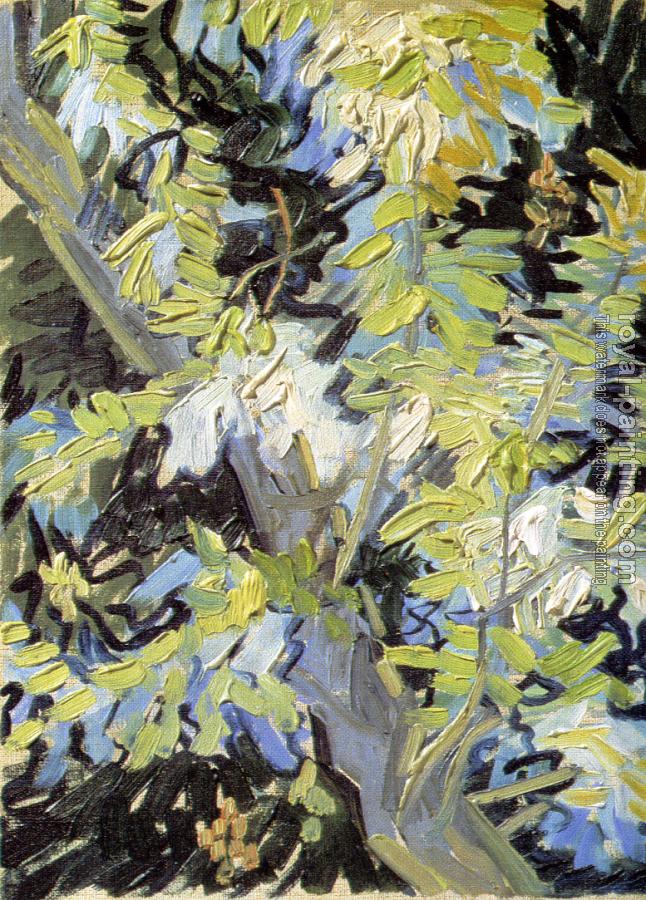 Vincent Van Gogh : Branches of Flowering Acacia